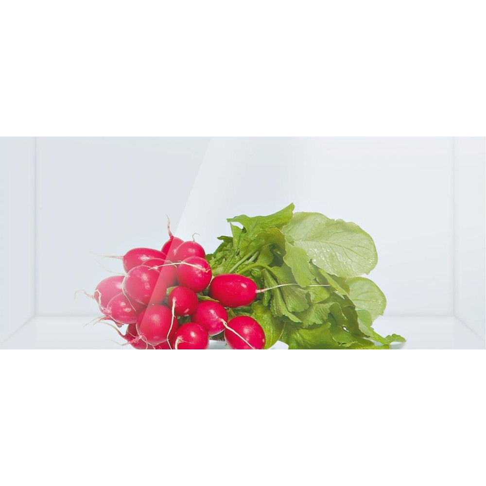 Двухкамерный холодильник Bosch KGE 39AK21 R