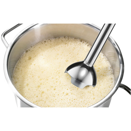 Блендер Bosch MSM 2410P