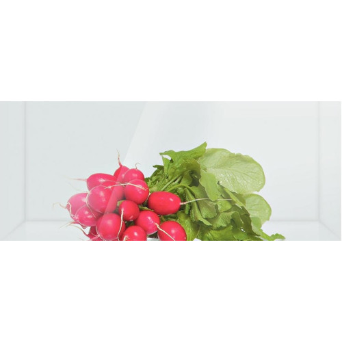 Встраиваемый двухкамерный холодильник Bosch KIV 38V20 RU